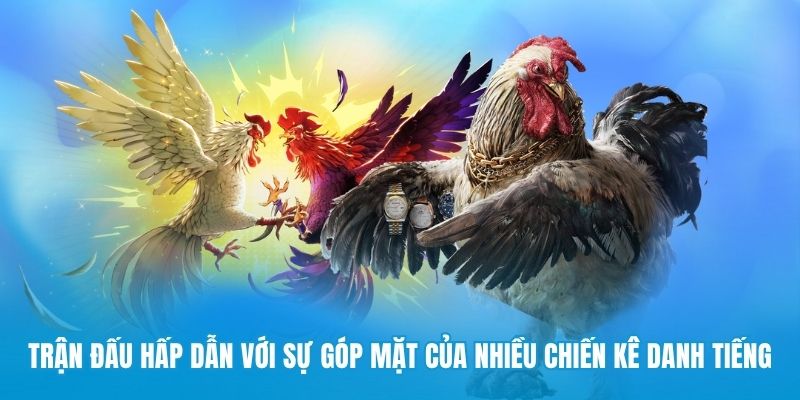 Trận đấu hấp dẫn với sự góp mặt của nhiều chiến kê danh tiếng