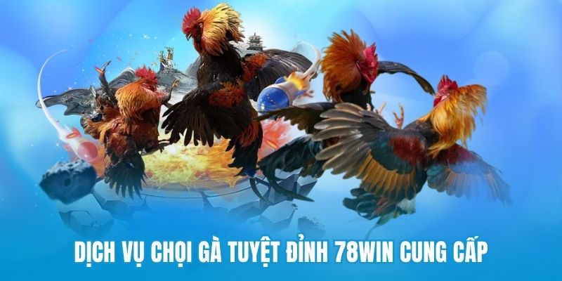 Dịch vụ chọi gà tuyệt đỉnh 78win cung cấp