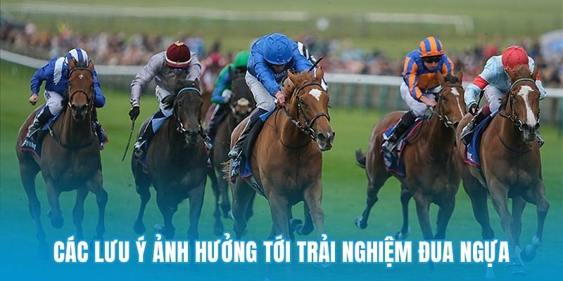 Các lưu ý ảnh hưởng tới trải nghiệm đua ngựa