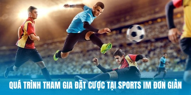 Quá trình tham gia đặt cược tại sports IM đơn giản
