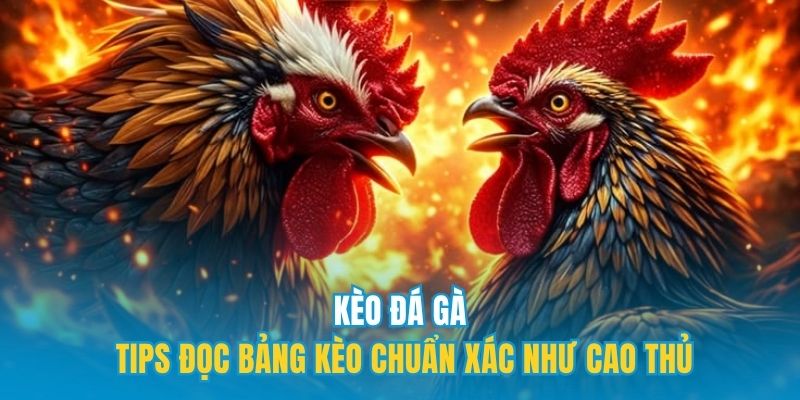 Kèo đá gà