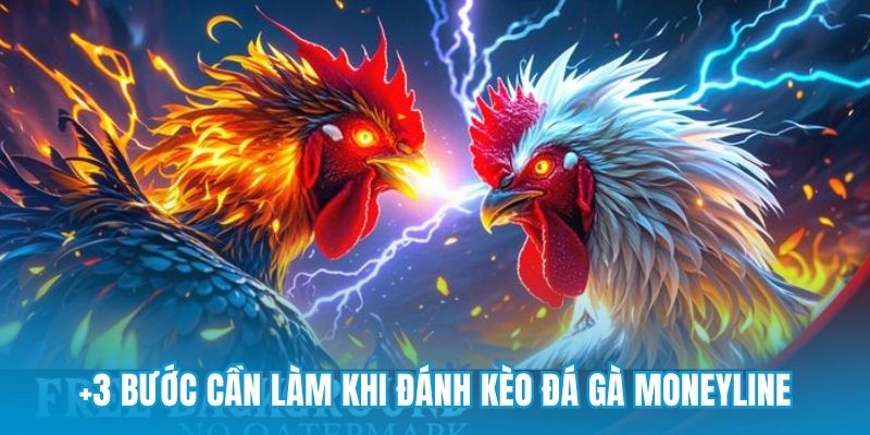 +3 bước cần làm khi đánh kèo đá gà Moneyline