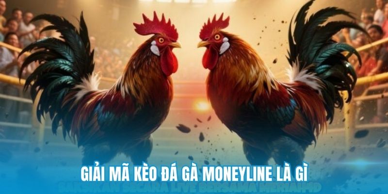 Giải mã kèo đá gà Moneyline là gì