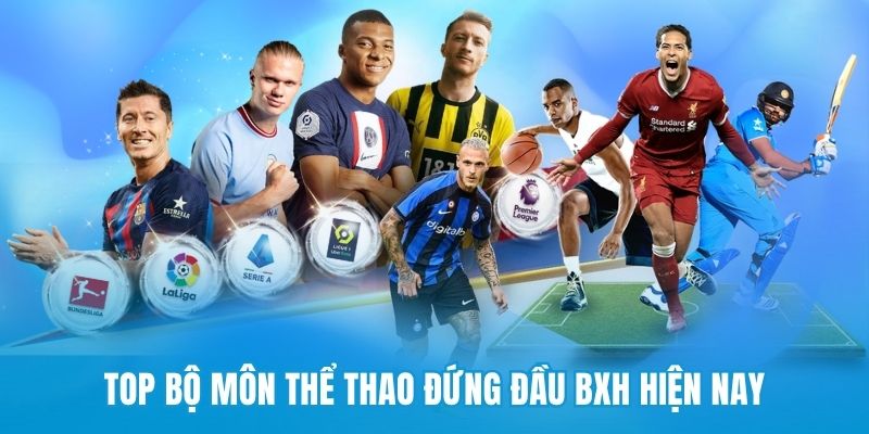 Top bộ môn thể thao đứng đầu BXH hiện nay