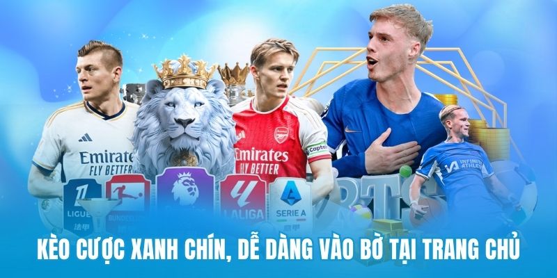 Kèo cược xanh chín, dễ dàng vào bờ tại trang chủ