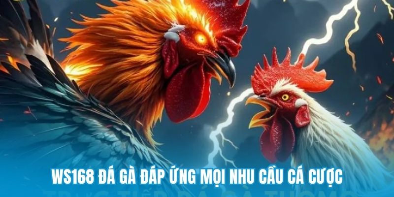 WS168 đá gà đáp ứng mọi nhu cầu cá cược