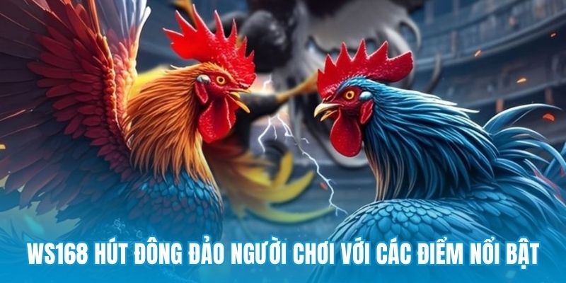 WS168 hút đông đảo người chơi với các điểm nổi bật