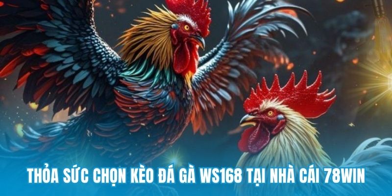 Thỏa sức chọn kèo đá gà WS168 tại nhà cái 78win